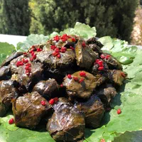 دلمه،غذای خانگی،فینگرفود،|خوردنی و آشامیدنی|شیراز, معالی‌آباد|دیوار