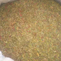 خار کیلوی ۱۲ هزارتومان