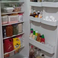 یخچال فریزر دوقلوی صنام