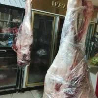 گوشت گرم گوساله 750 و گوشت بره 630|خوردنی و آشامیدنی|شیراز, شهرک گلها|دیوار