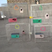 قفس پرنده|لوازم جانبی حیوانات|مشهد, کوشش|دیوار