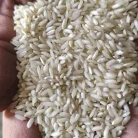 برنج عنبربو|خوردنی و آشامیدنی|شوشتر, |دیوار