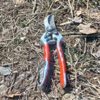 هرس کاری باغ