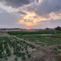 فروش زمین ۱۰ من در عجبشیر