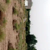 تلمبه|فروش خانه و ویلا|نگار, |دیوار