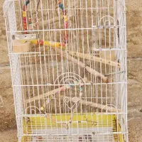 قفس پرنده سایز بزرگ