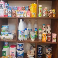 پخش انواع لبنیات شیرین عسل