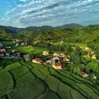 فروش زمین در سنگر قاضیان سراوان دهبنه کچا|فروش زمین و ملک کلنگی|رشت, جهاد|دیوار