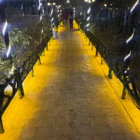 استخدام سالنکار و ویتر با شرایط فوق العاده