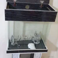 آکواریوم سالن و تمیز کم کارکرد.|ماهی|تهران, شوش|دیوار