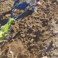 شخم زنی علف زنی خدمات باغبانی