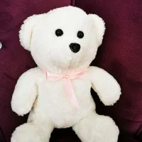 خرس 20 و 30|اسباب‌‌بازی|مشهد, طلاب|دیوار