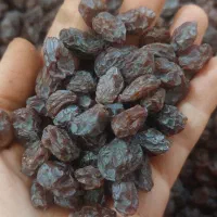 مویز بش دشمن زیاری|خوردنی و آشامیدنی|شیراز, میانرود|دیوار