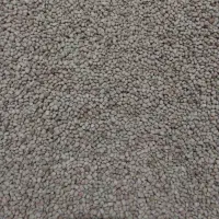 لوبیا ریز آشی|خوردنی و آشامیدنی|دره شهر, |دیوار