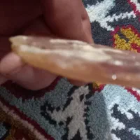 کهربا|جواهرات|تهران, بهار|دیوار