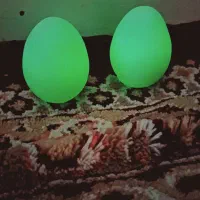 گوهر شب چراغ