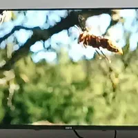 تلوزیون یونیوا 43اینچ