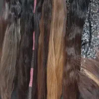 مو بانوان خریدارم