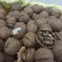 گردو و بادام