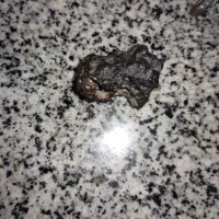 شهاب سنگ|کلکسیون اشیاء عتیقه|بم, |دیوار