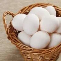 تخم مرغ محلی عربی