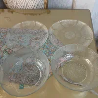 ظروف پذیرایی سولو