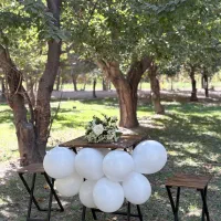 فروش ویژه میز و صندلی نهار خوری چوبی فلزی/تاشو