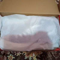 کتونی اورج کانورس