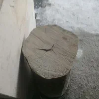 .فروش تنه هشتاد سانتی درخت.