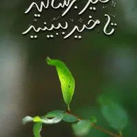 راننده خانم
