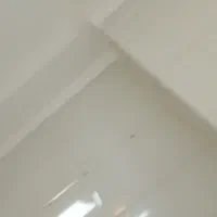 دندانپزشک منصف