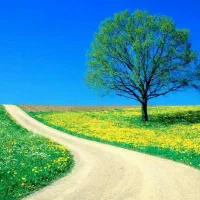 فروش خط مشابه ایرانسل وهمراه اول