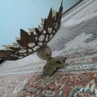 قندان شیرینی خوری آجیل خوری میوه خوری|ظروف سرو و پذیرایی|پارسآباد, |دیوار