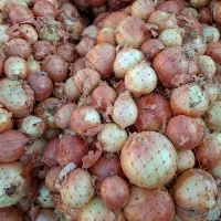 کارگر ساده جهت کار در میدان بار