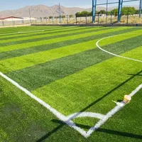 چمن مصنوعی فوتبالی