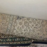 فرش ۹متری نگین مشهد|فرش|تهران, خاک سفید|دیوار