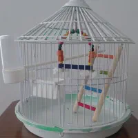 قفس پرنده با تمامی لوازم