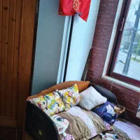 تخت مدل کشتی اپادانا|تخت و سرویس خواب|نور, |دیوار