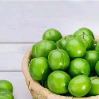 پیشفروش نهال گوجه سبز|خدمات باغبانی و درختکاری|لاران, |دیوار