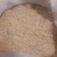 برنج امساله هاشمی الموت