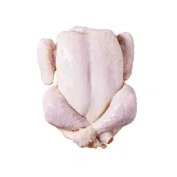 فروش مرغ کامل وقطعه بندی تازه ومنجمدبامجوزدامپزشکی