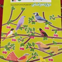 کتاب تابستان قلمچی