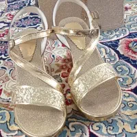 کفش مجلسی وکیف