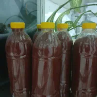 رب گوجه فرنگی طبیعی