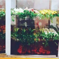 ۱نیروی و ۱نانوا کار در کبابی