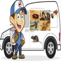 دفع حشرات سوسک سم پاشی ساس موریانه ۱۰۰% ضمانت کتبی