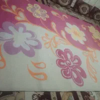 قالی فرش|فرش|داراب, |دیوار