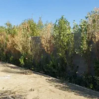 باغچه ۵۰۰ متری روستای فیروزبهرام|فروش خانه و ویلا|چهاردانگه (تهران), |دیوار