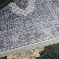 قالیچه نمدی 6 متری|روفرشی|ارومیه, |دیوار