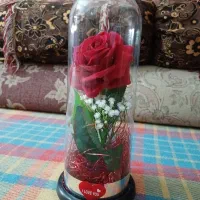 این گلدون بفروش میرسه|صنایع دستی و سایر لوازم تزئینی|کهنوج, |دیوار